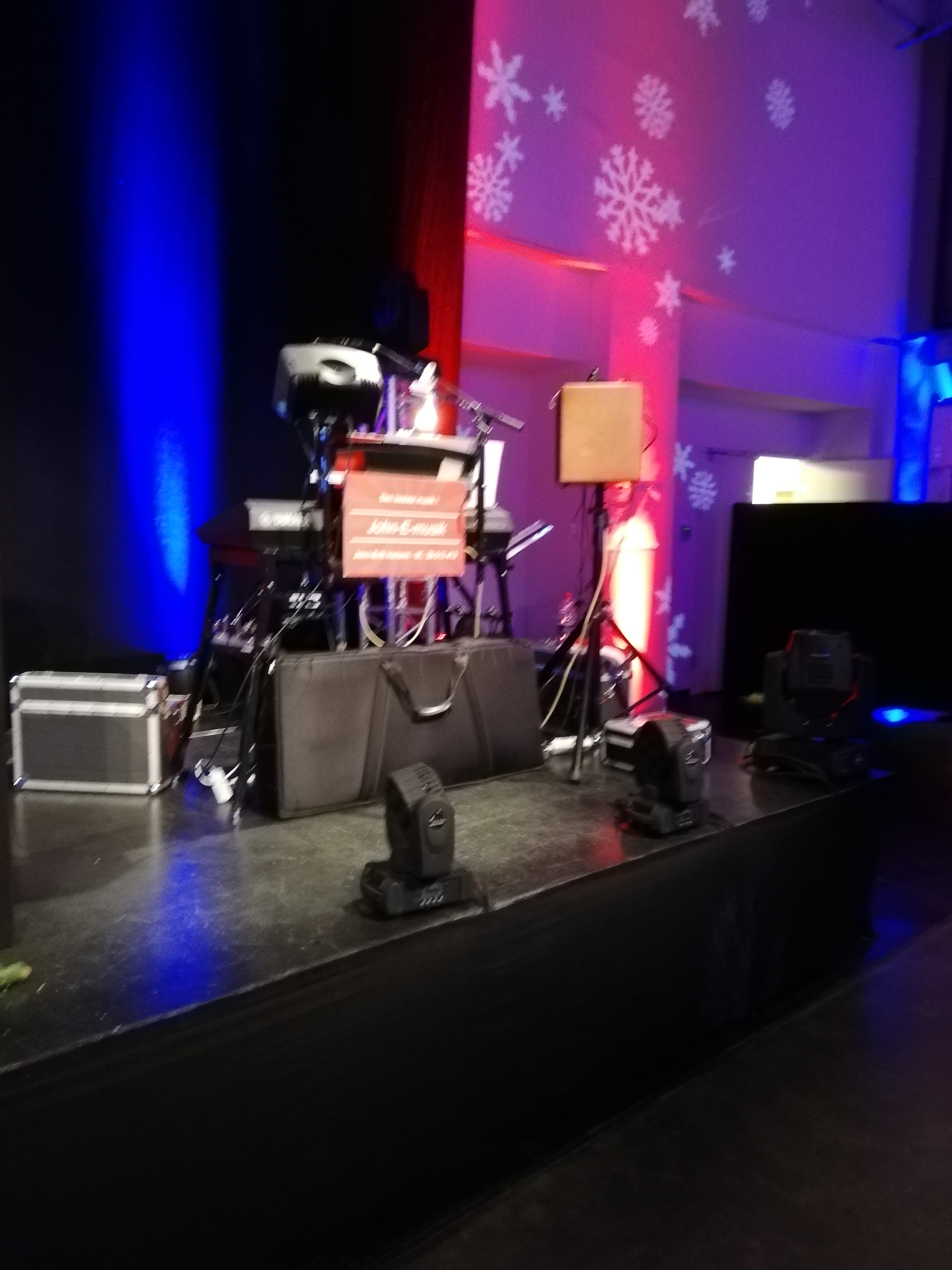 Ung julefest